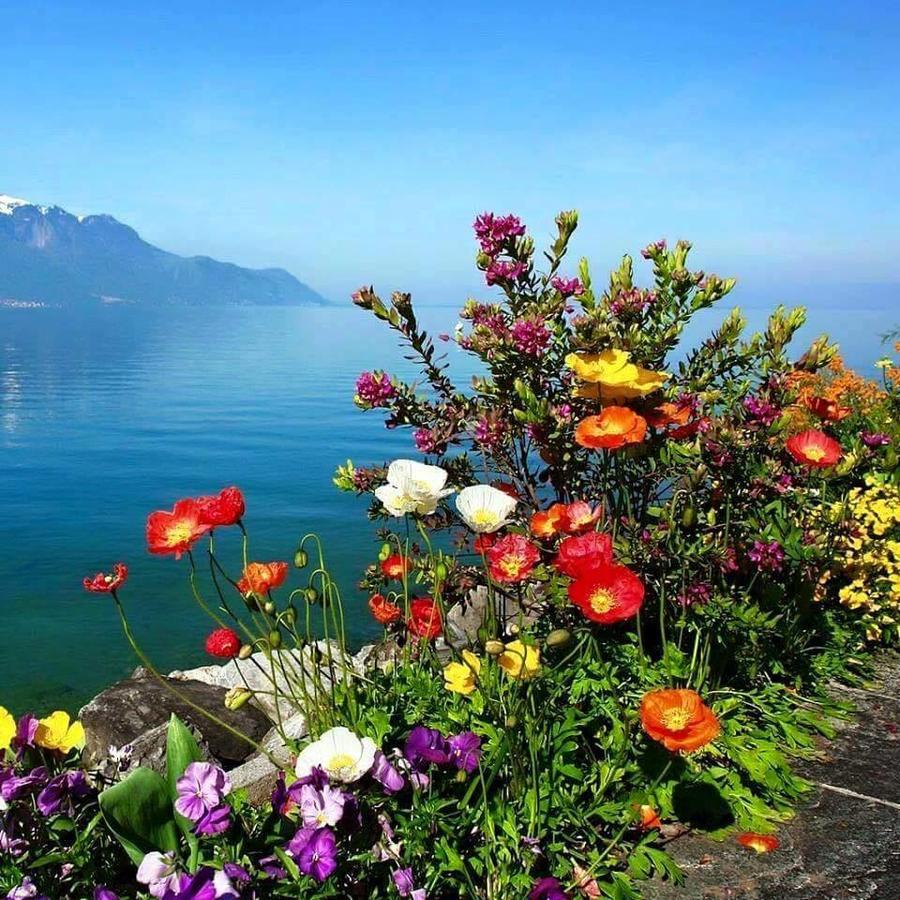 Bed & Breakfast Gozde Deniz Boutique 3*